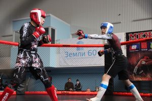 В Великих Луках прошел кубок по смешанному боевому единоборству (ФОТО)