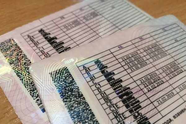 За использование поддельных водительских прав великолучанин предстанет перед судом