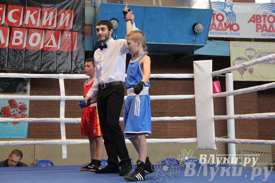 3-й день соревнований Международного турнира по боксу