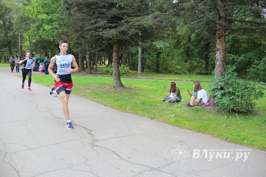 В Великих Луках прошёл «Кросс Нации-2018» (ФОТО)