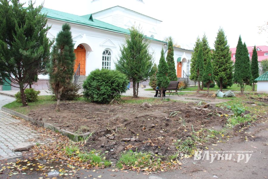 Куда исчезли пихты у Свято-Вознесенского собора в Великих Луках