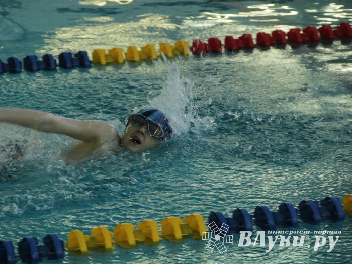 Первый «Быстрый кашалот» в Великих Луках (фото)