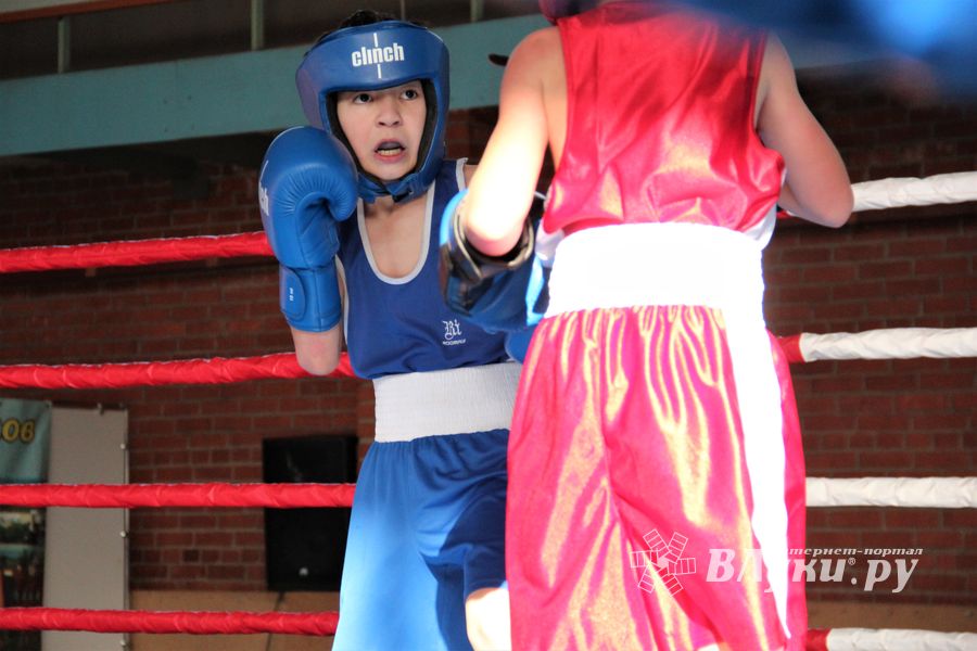 Второй день турнира по боксу складывается для великолучан удачно (ФОТО)