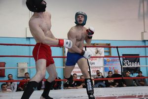 Открытый Кубок города Великие Луки по смешанному боевому единоборству (ММА)