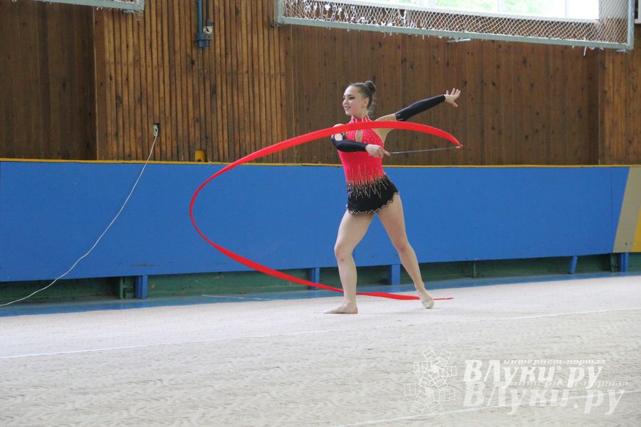 В Великих Луках прошло Первенство по художественной гимнастике (фото)