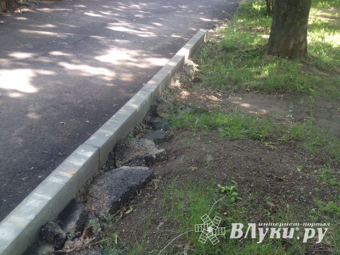 Великолучанка пожаловалась губернатору на новый асфальт во дворе (ФОТО)