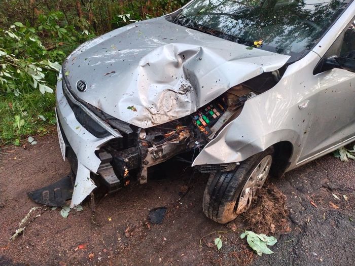 В Великолукском районе автомобиль врезался в дерево (ФОТО)