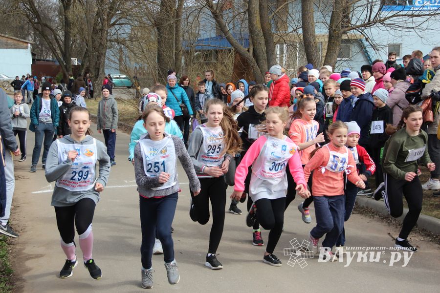 В Великих Луках прошёл легкоатлетический кросс (ФОТО)