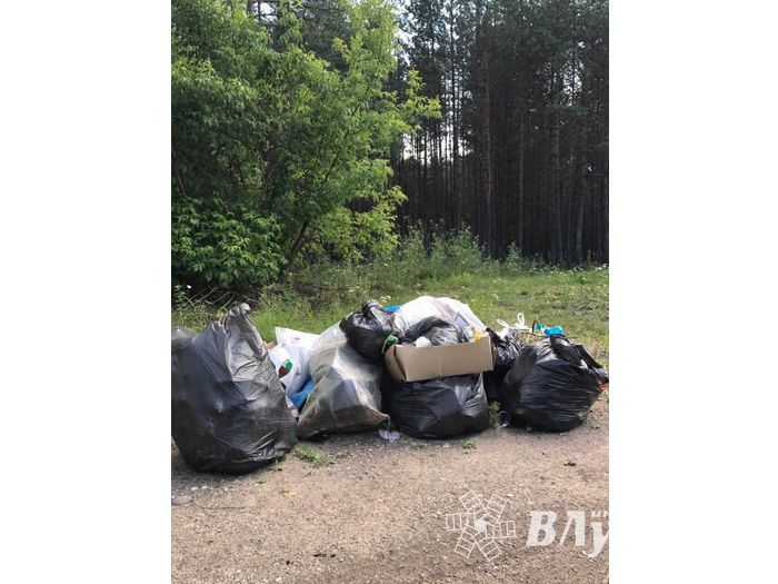 Особенности национальной дороги (ФОТО)