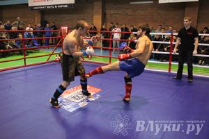 В Великих Луках прошел межрегиональный Открытый Кубок по смешанному боевому единоборству (фото)