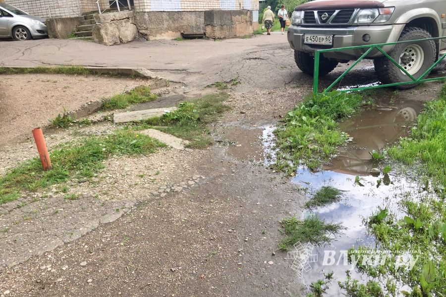 Великолучан беспокоит озеро во дворе дома (ФОТО)