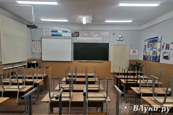 В школах Псковской области начались занятия по карьерной грамотности