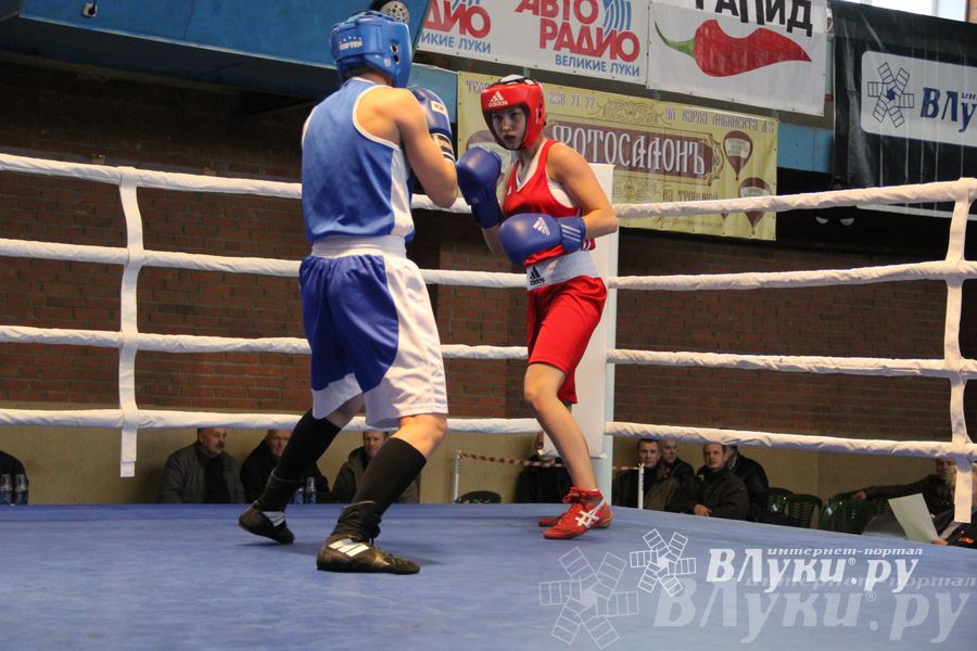 16-й Международный турнир по боксу (фото)