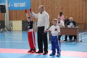 В Великих Луках проходит Кубок по кикбоксингу (ФОТО) (0+)