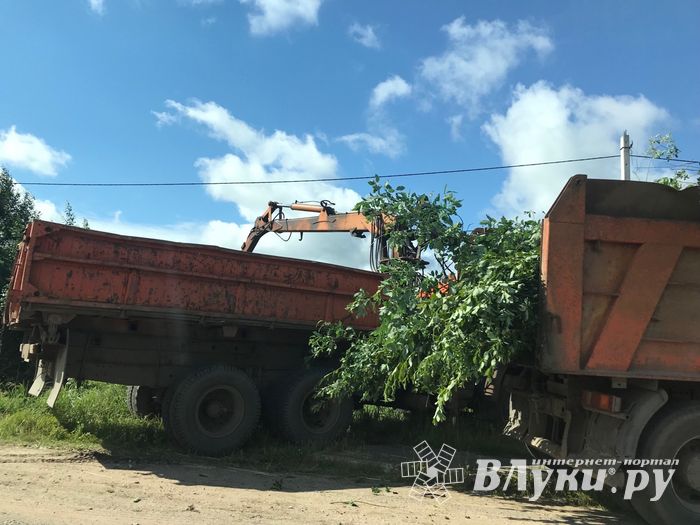 Дачников Великих Лук порадовали районные дорожники (ФОТО)