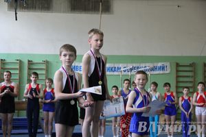 Открытый Кубок Псковской области по спортивной гимнастике