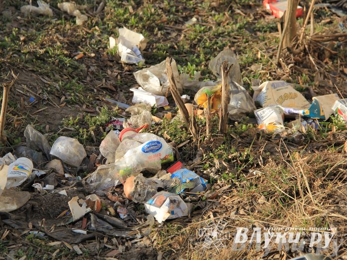 Город в ожидании субботника