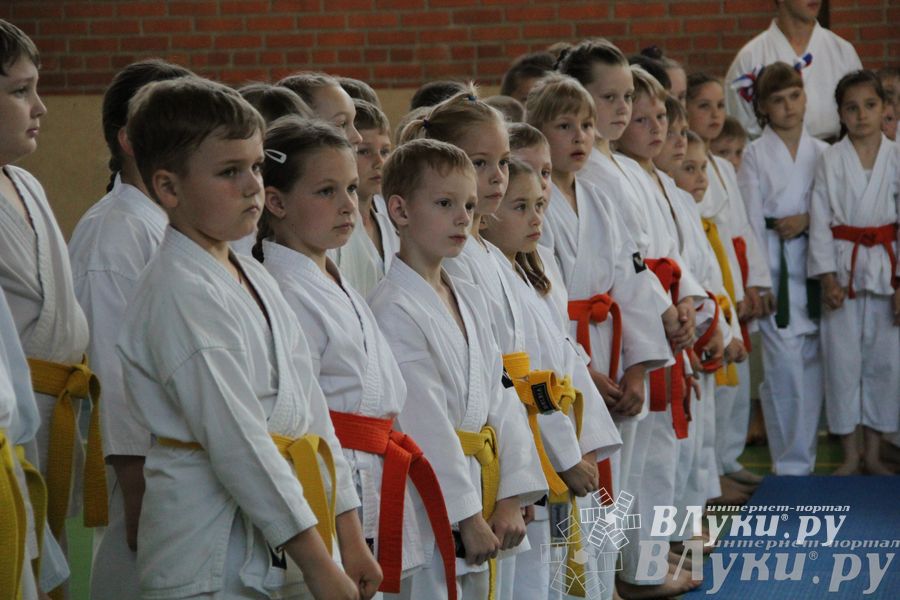Турнир по каратэ