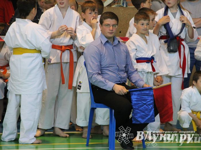 Великолучане стали победителями турнира по каратэ «Неприкосновенный запас, дети — Отчизны 2015» (фото)