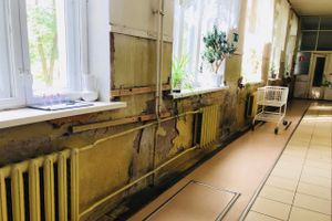 Районной больнице требуется лечение (ФОТО)