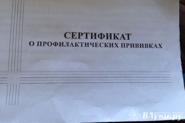 Система QR-кодов в Псковской области сохранится минимум до Нового года