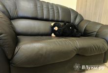 Житель Опочки стал заложником собственного дивана