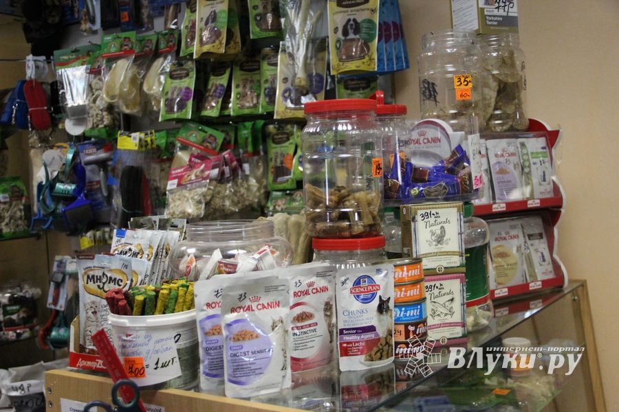 «Zooбастики»: подарите праздник своим любимцам! (ФОТО+ВИДЕО)