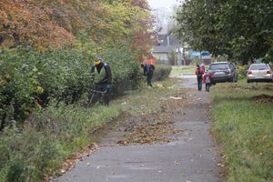 Октябрь: в Великих Луках продолжается покос (ФОТО)
