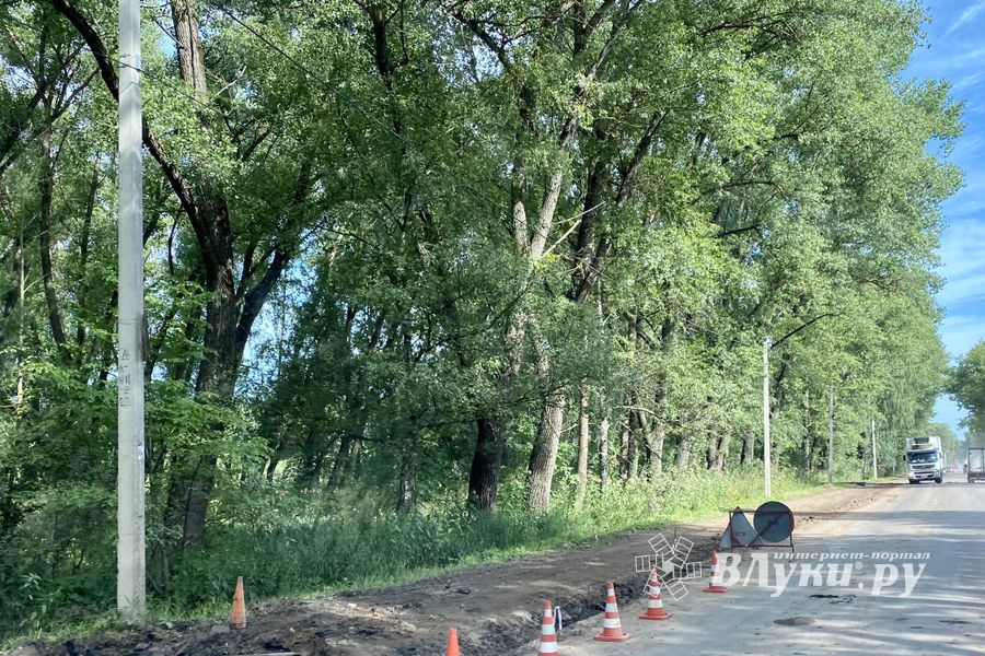 Новости с площадки по строительству госпиталя (ФОТО)