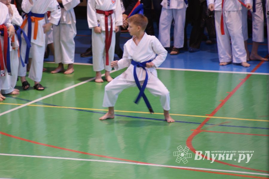В Великих Луках прошли соревнования по каратэ (ФОТО)