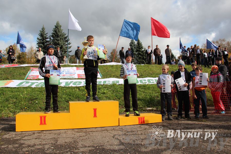 Кросс нации