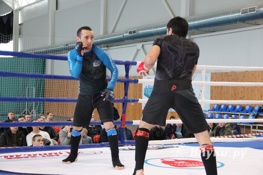 Открытый кубок по смешанному боевому единоборству ММА прошел в Великих Луках (ФОТО)