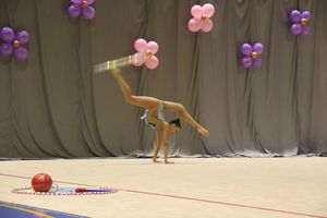 В Великих Луках завершился первый день соревнований Открытого Первенства города по художественной гимнастике (ФОТО) (0+))