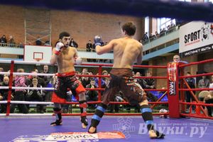 В Великих Луках прошел межрегиональный Открытый Кубок по смешанному боевому единоборству (фото)