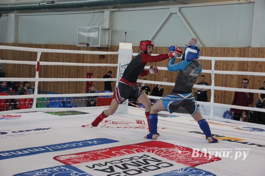 В Великих Луках завершилось Первенство России среди юношей по смешанному боевому единоборству ММА (ФОТО)