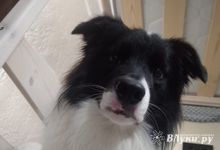 Прогноз погоды в Великих Луках на 20 октября