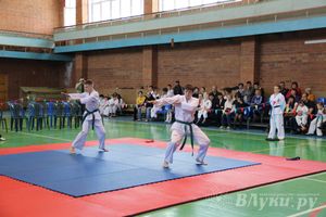 В Великих Луках прошло Первенство по тхэквондо (фото)