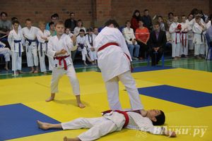 Великолучане стали победителями турнира по каратэ «Неприкосновенный запас, дети — Отчизны 2015» (фото)