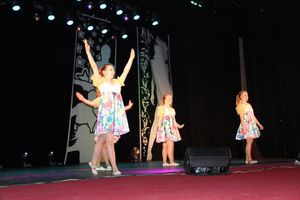 студенческая весна