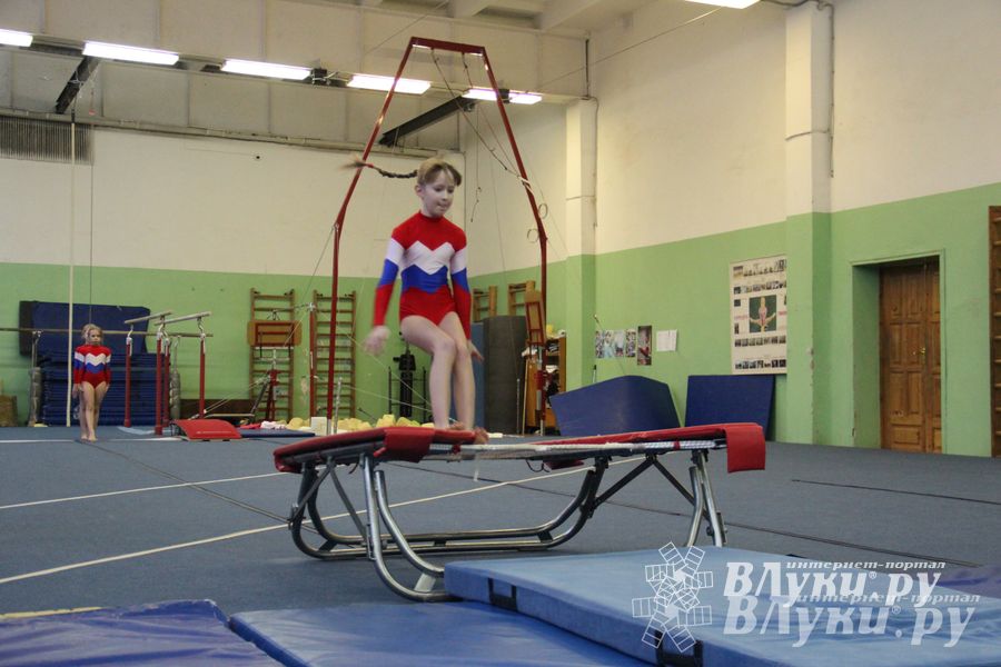 В Великих Луках состоялось Первенство по командной гимнастике (фото)