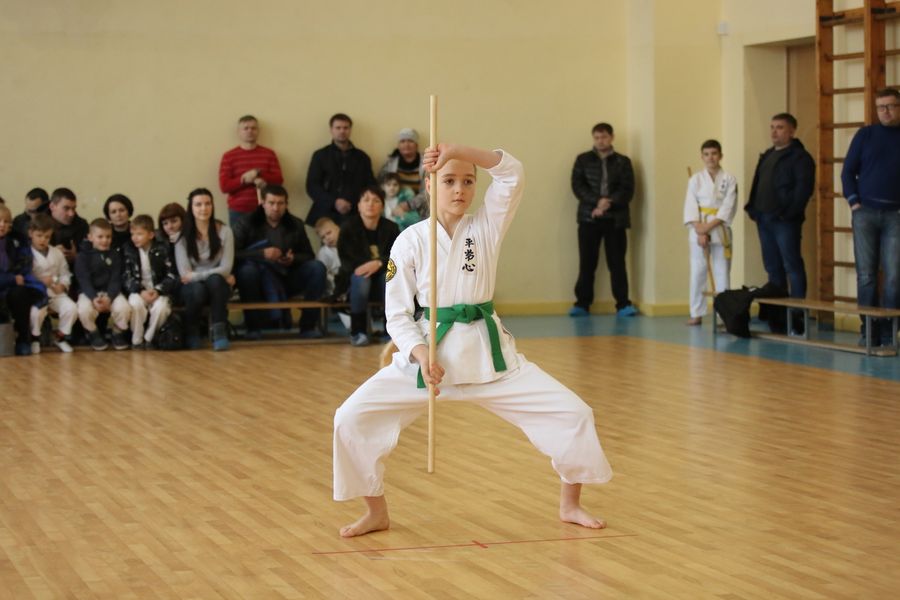 В Великих Луках прошло Первенство города по ВБЕ «КОБУДО» (ФОТО)