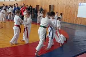 Сергей Фомин провёл мастер-классс для великолукских дзюдоистов (ФОТО)