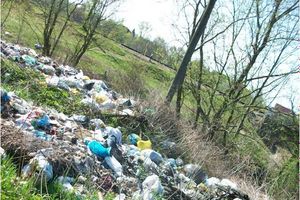 ​Великолучане продолжают жаловаться на свалки (ФОТО)