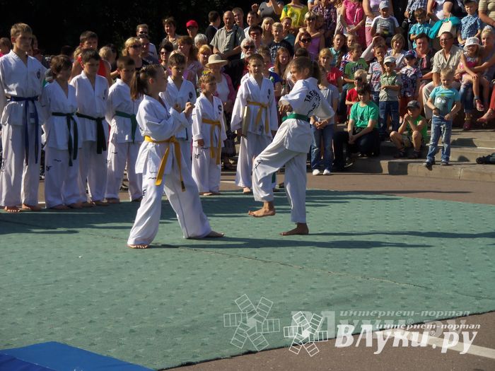 Спортивный фестиваль в День города