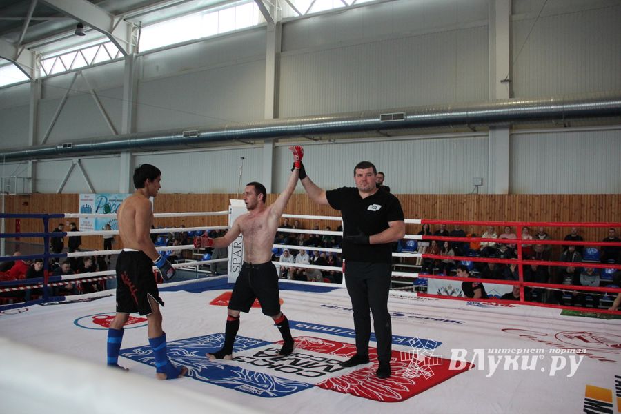 Открытый кубок по смешанному боевому единоборству ММА прошел в Великих Луках (ФОТО)