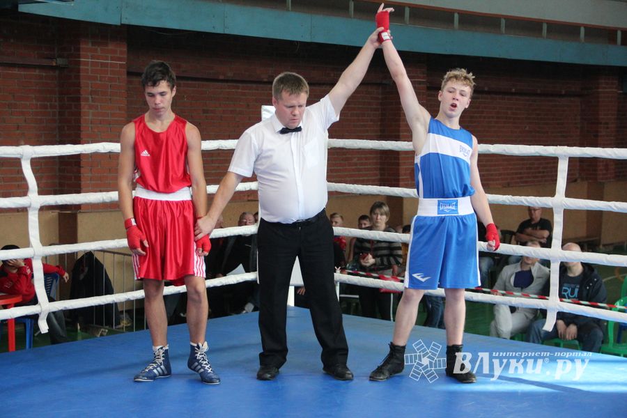 В Великих Луках прошел турнир по боксу памяти Е. Клевцова (ФОТО)