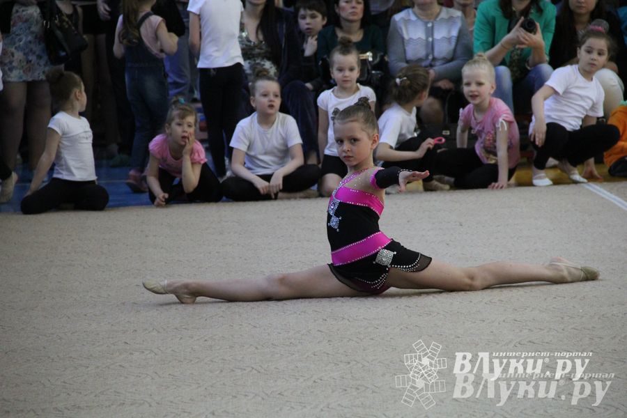 В Великих Луках прошло Первенство по художественной гимнастике (фото)