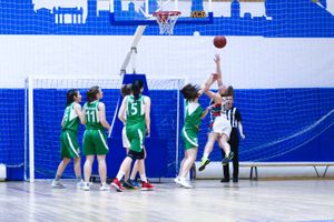 Фото с сайта pro100basket.ru