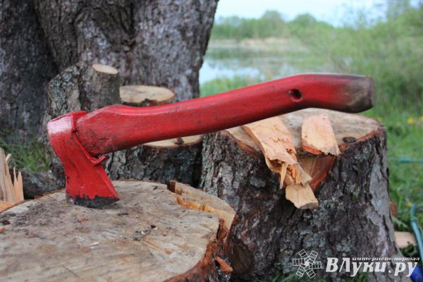 Двое жителей Псковской области будут осуждены за незаконную рубку деревьев