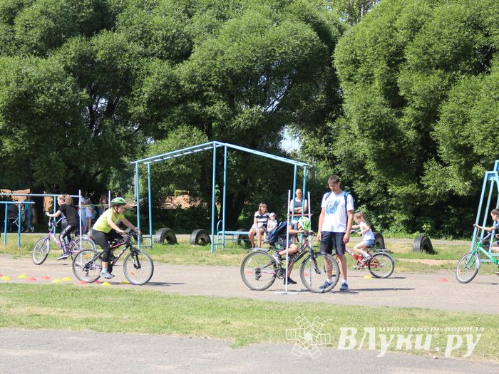 В Великих Луках прошёл Олимпийский День (ФОТО)